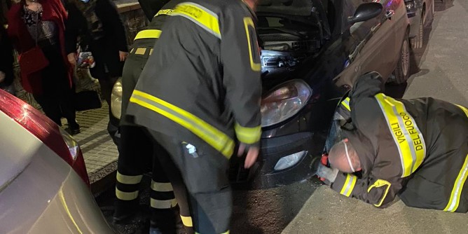 Un gatto nel motore: lo salvano i Vigili del fuoco