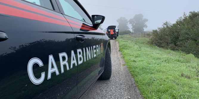 Canile lager in azienda agricola: denunciato