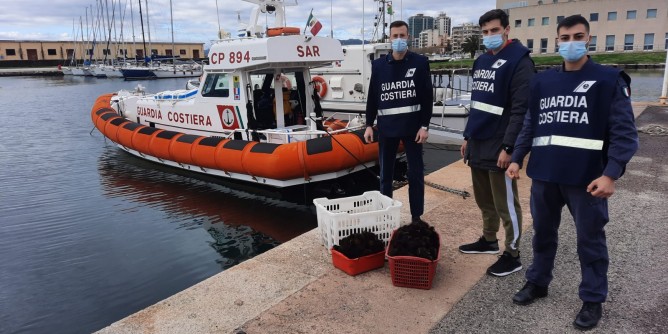 Pesca abusiva di ricci a Punta Saline: sanzione e sequestro