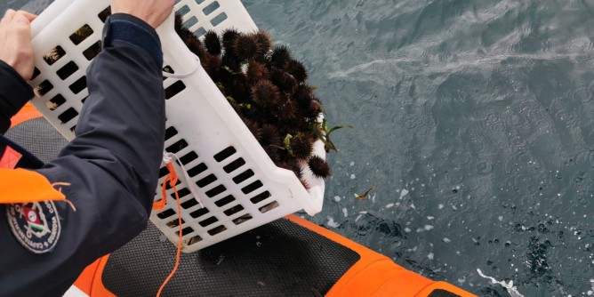 Bogamar, sequestri e multe ad Alghero