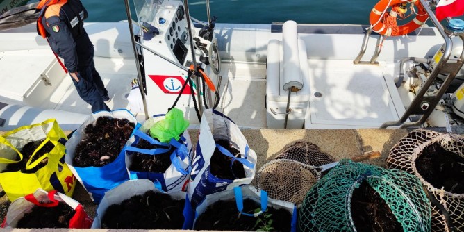 Guardia costiera: sanzioni e sequestri ad Alghero