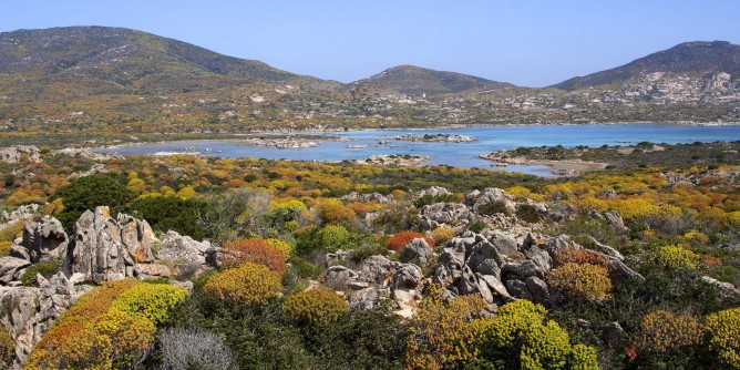 Nasce distretto rurale Sassari-Asinara