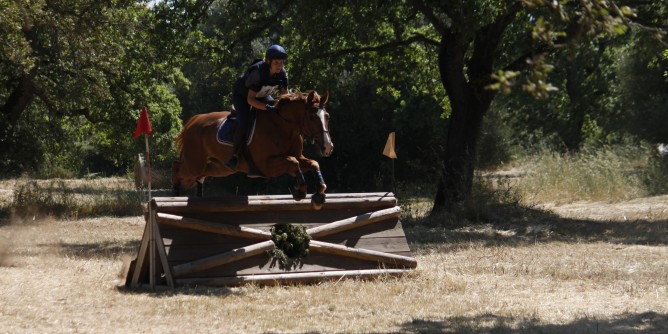 Sport equestri: spettacolo a Tanca Regia