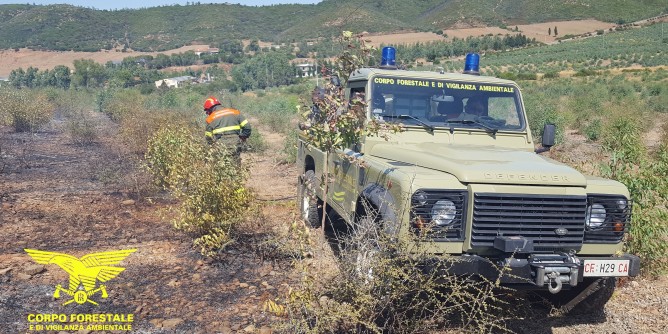 Incendi dolosi, arrestato 50enne