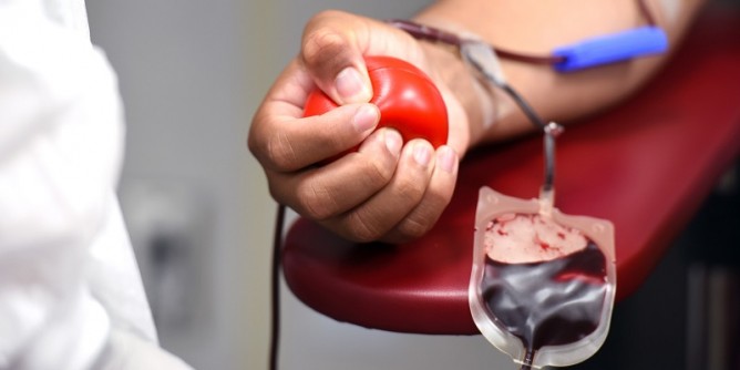 Venerd raccolta sangue ad Alghero