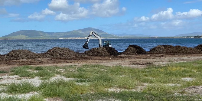 Posidonia: 500mila ai comuni sardi