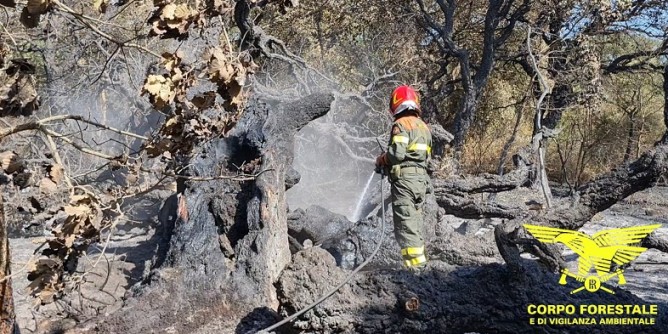 Ritorna l´incubo incendi nel Montiferru: si indaga