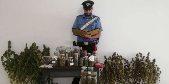 Arzachena: un chilo di marijuana in casa