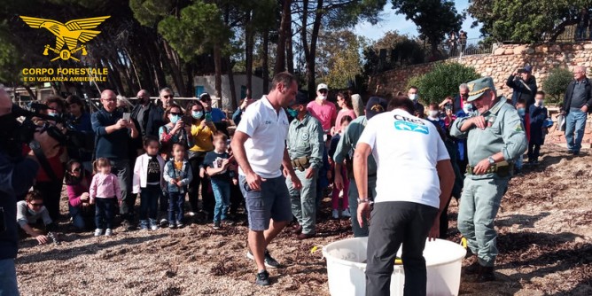 Tartaruga ritrova il mare a Baunei: foto