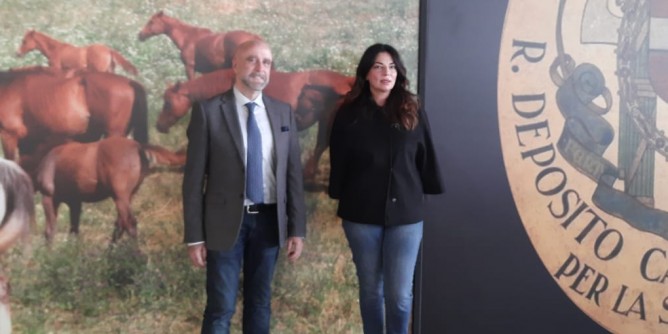 Fieracavalli, vetrina internazionale