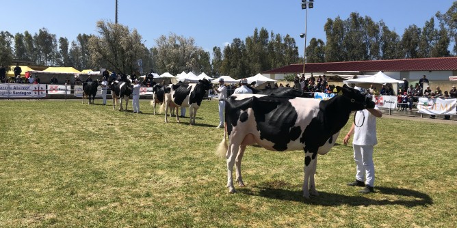 24 aziende sarde alla AgriUmbria