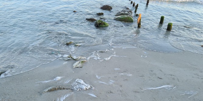 Plastiche e rifiuti al Poetto, gioiello maltrattato