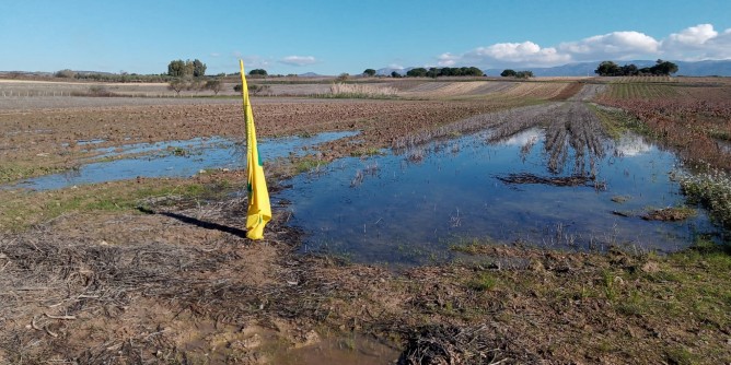 Sos Coldiretti: basta sprechi d´acqua