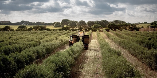 San Giuliano tra le 100 aziende sostenibili 