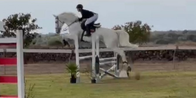 Sport equestri a Golfo Aranci dressage e ostacoli