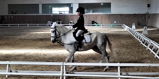 Golfo Aranci: sport equestri in spiaggia