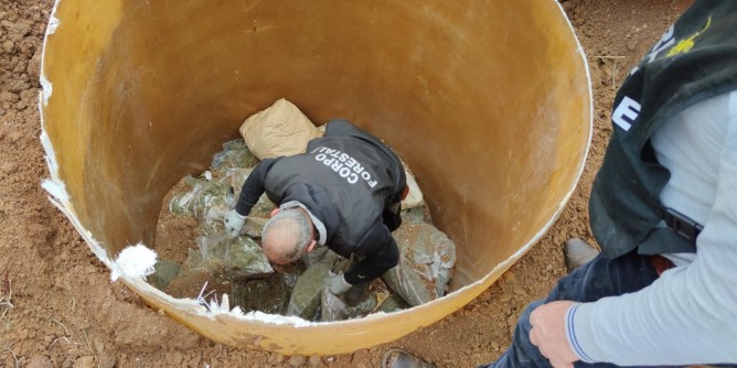 Maxi-sequestro di marijuana a Vallermosa