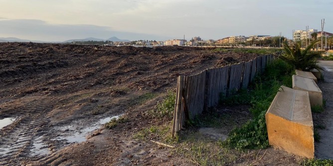 Posidonia e caditoie: interventi ad Alghero