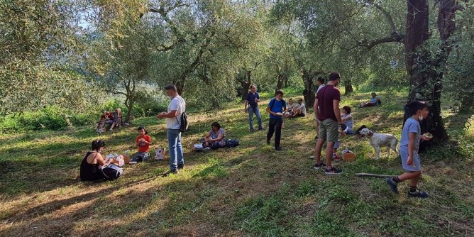 Merenda tra gli ulivi in 8 citt sarde