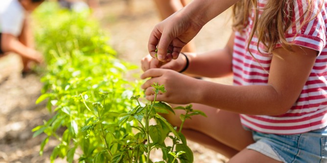 Voucher prima infanzia a Sassari