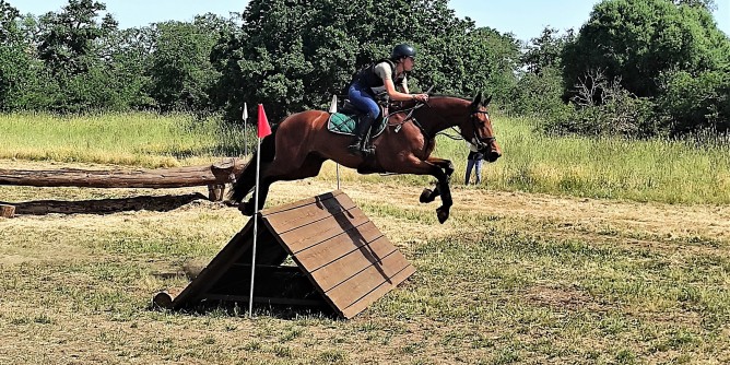 A Tanca Regia dressage e Coppa Italia pony