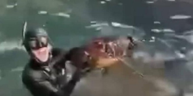 Pesca in area protetta, video su <i>TikTok</i>