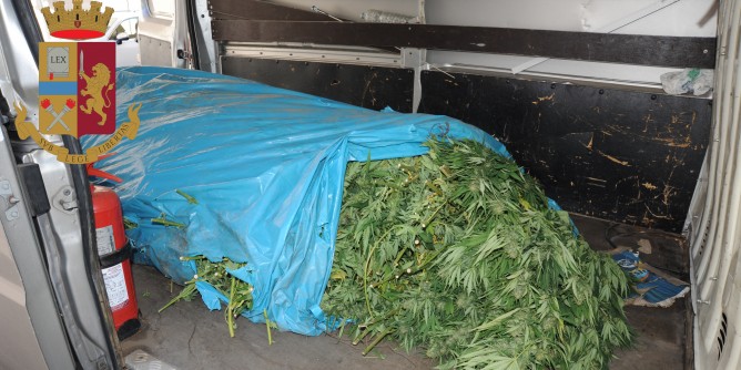 90 kg di marijuana sulla provinciale a Nuoro