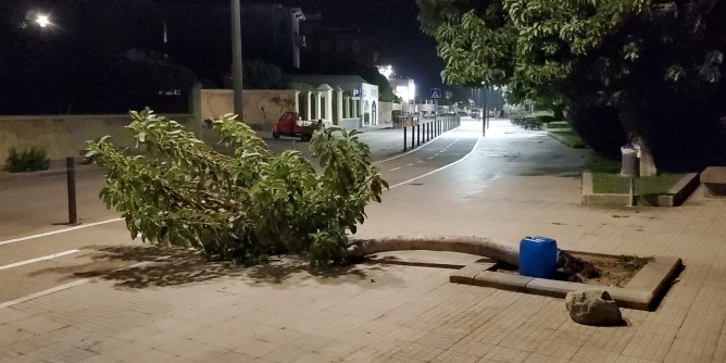 Alberi abbattuti, vento e temporali su Alghero 