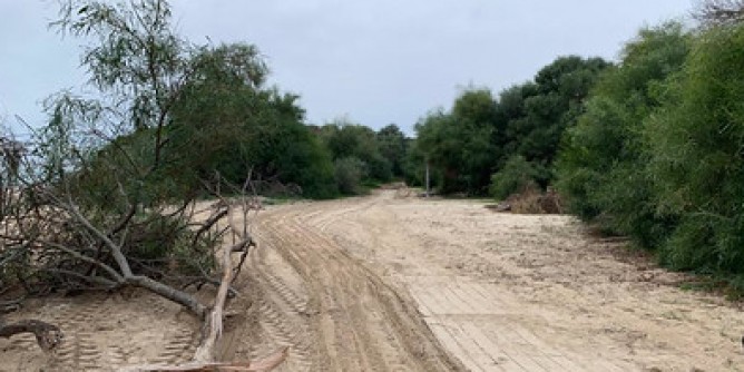 Col trattore sulle dune a Tuarredda: denunciato