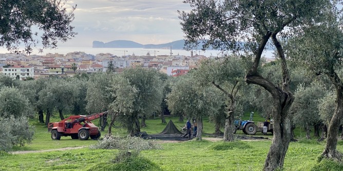 Alghero merita anche un grande evento sull´Olio