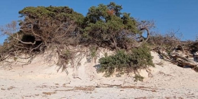 Dune Maria Pia: seminario ad Alghero