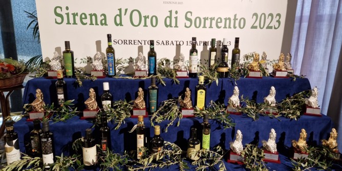 Coldiretti: Olio nord Sardegna al <i>top</i>