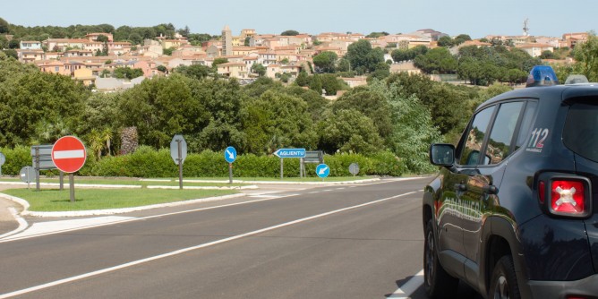 Riccio decapitato a Porto Torres