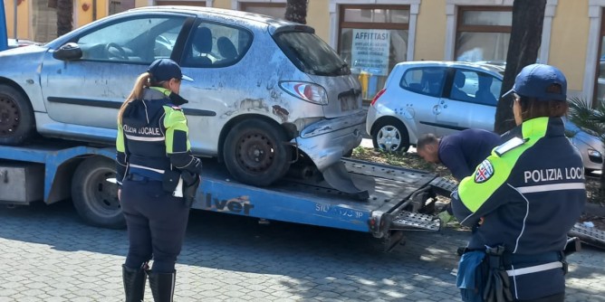 Rimozione carcasse a Porto Torres