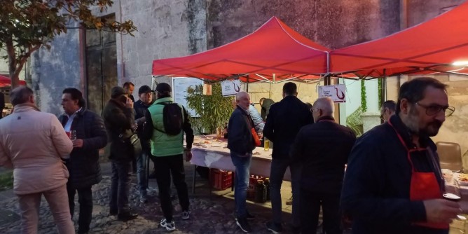 Vino, 24 cantine in centro a Uri