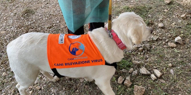 Asl Sassari: progetto con cani anti Covid