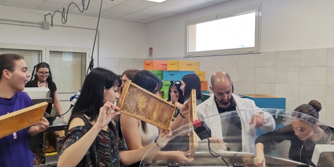 Il liceo di Ozieri adotta le api di <i>BeBees</i>