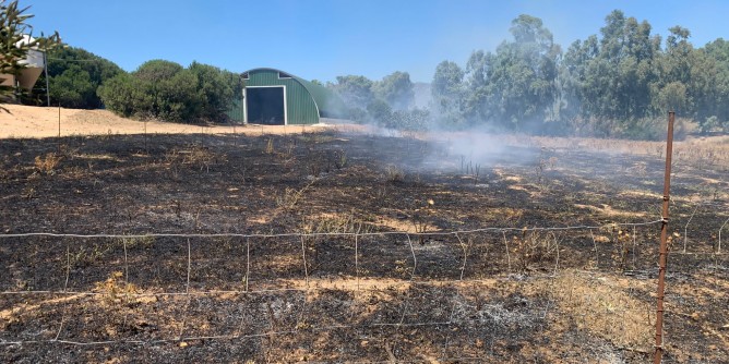 Incendi in Sardegna: parte la conta dei danni