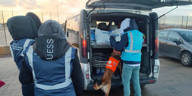 Peste suina: Cani molecolari a Porto Torres