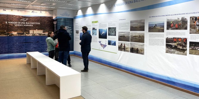 Nuova mostra allAeroporto di Alghero