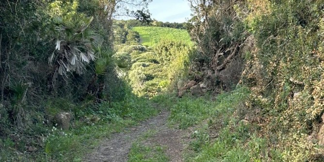 A Sassari la storia della zootecnica sarda