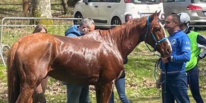 Endurance: <i>2^</i> tappa Coppa Sardegna