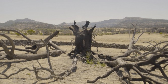 Giornata mondiale contro la desertificazione