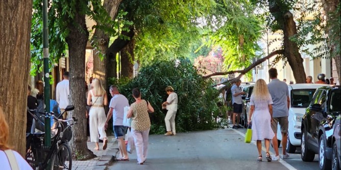 Ramo cade in via Sassari, tragedia scampata