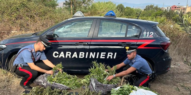 A Tortol sequestrati 28 chili di marijuana