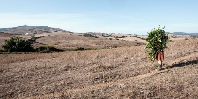 Nasce Selva, il festival multidisciplinare