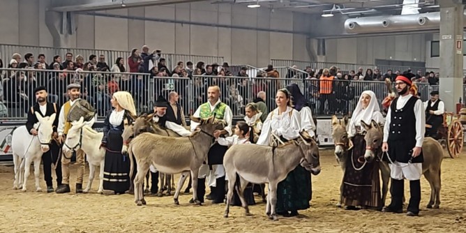 Fieracavalli, asini sardi in esposizione 