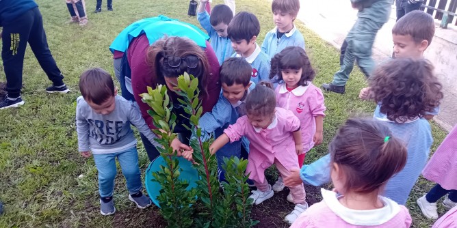 A Stintino Festa dellAlbero con le scuole