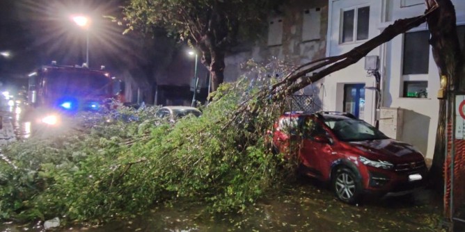 Cade un ramo su due auto in via Sassari