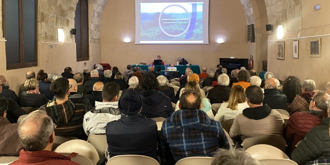 Boe in rada ad Alghero, tutti contrari